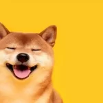 Forbes Cites Shiba Inu Among The Top 10 Digital Assets For Investment