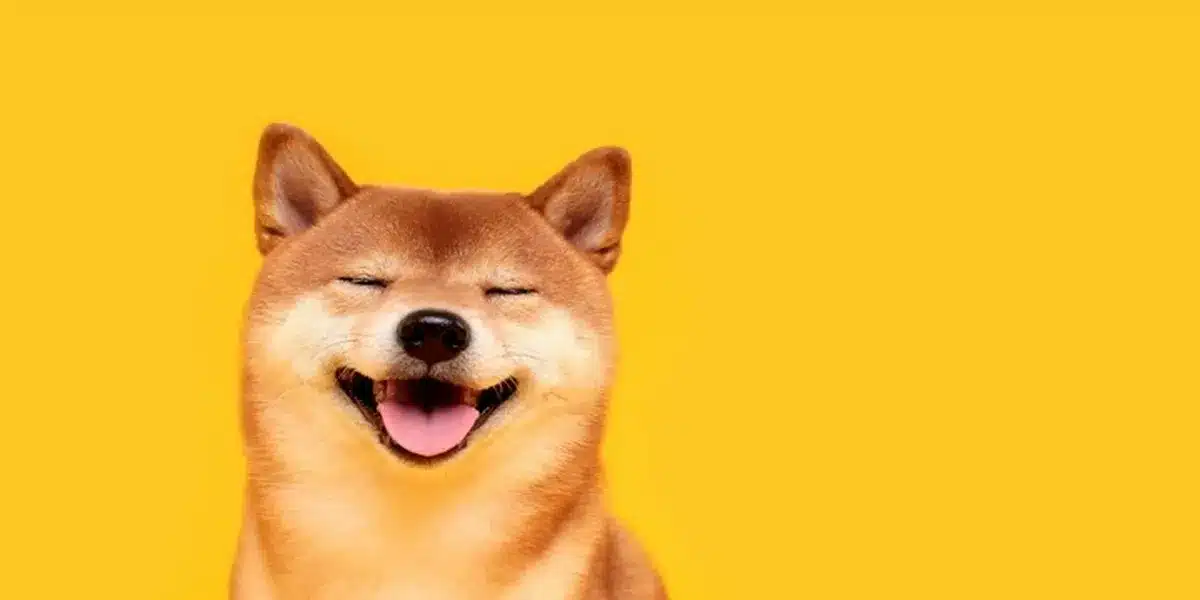 Forbes Cites Shiba Inu Among The Top 10 Digital Assets For Investment