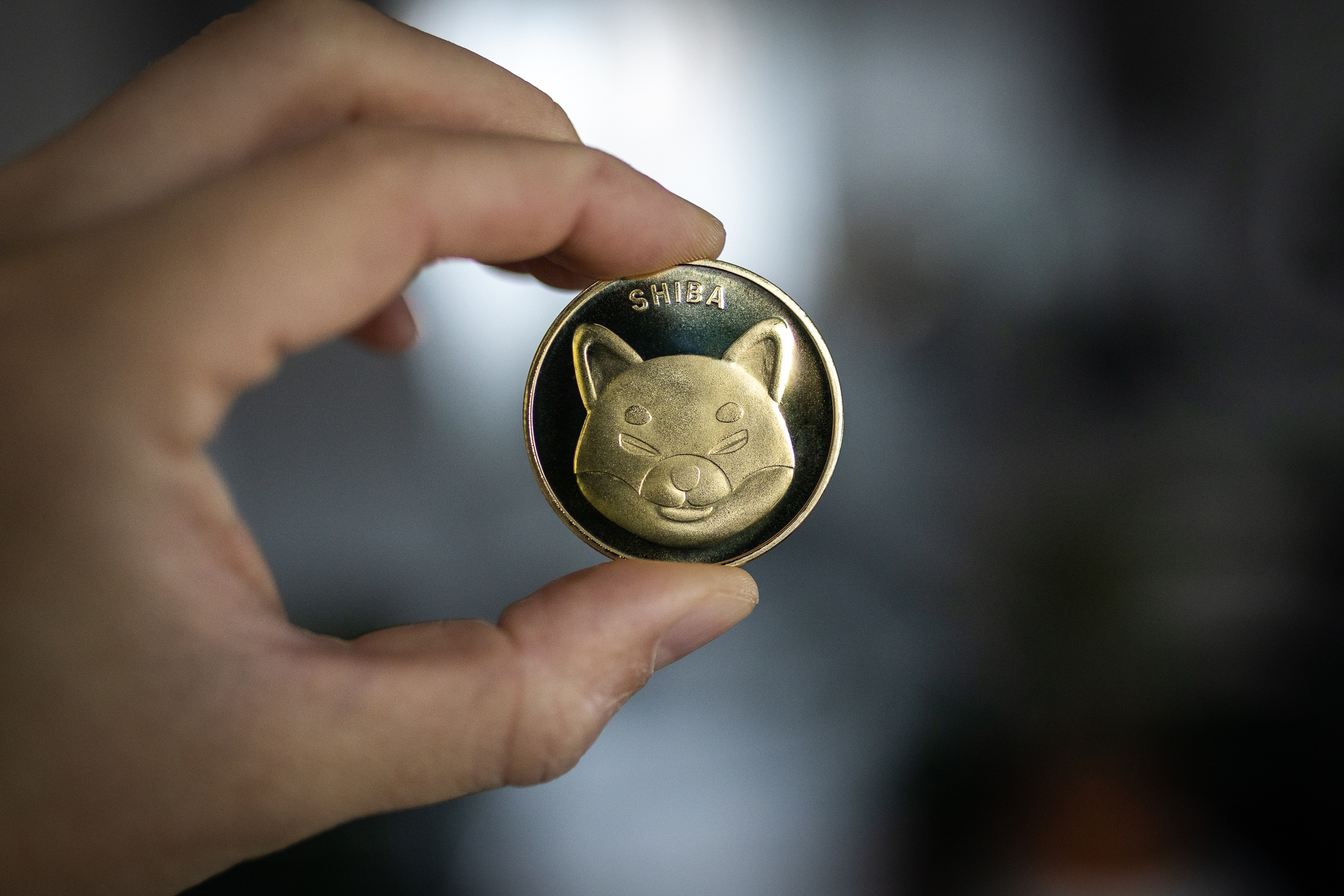 Shiba Inu Climbs To Second Spot In Crypto Searches As SHIB Rallies · Cardano Feed