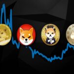 Will New Cryptocurrency Meme Coin Kick Shiba Inu (SHIB) To No.11 on Coinmarketcap?