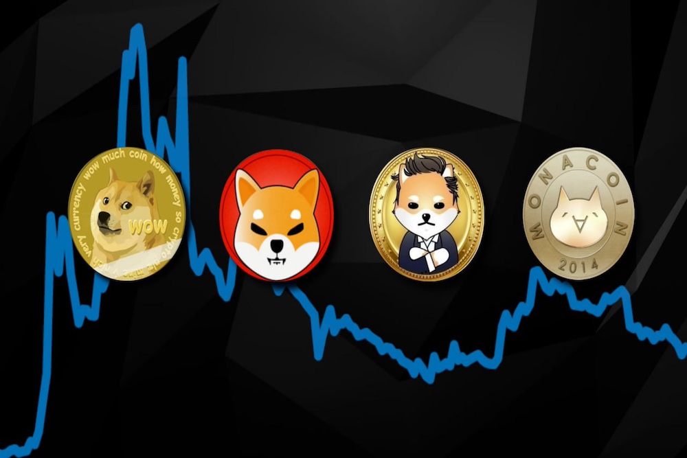 Will New Cryptocurrency Meme Coin Kick Shiba Inu (SHIB) To No.11 on Coinmarketcap?