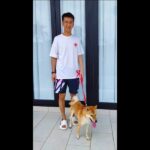 ‘Lucky’ the Shiba Inu gets new owner