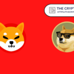 Shiba Inu Rushes To Overtake Dogecoin As Kusama Says SHIB Still The DOGE Killer