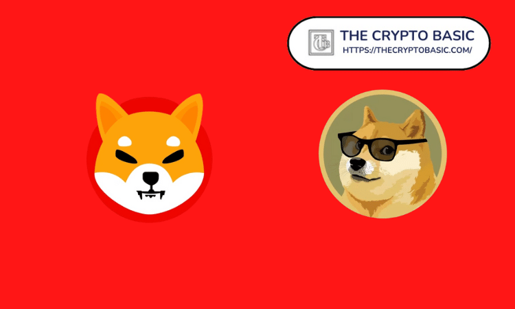 Shiba Inu Rushes To Overtake Dogecoin As Kusama Says SHIB Still The DOGE Killer