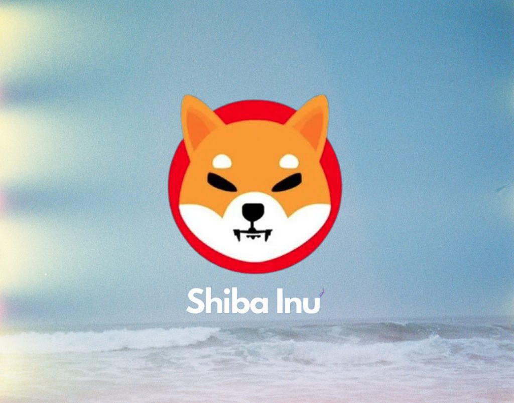 Shiba Inu Whale Accumulates 332 Bln SHIB, A Price Rally Ahead?