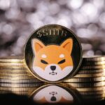 Shiba Inu Burn Intensifies Amid Dramatic Market Downturn