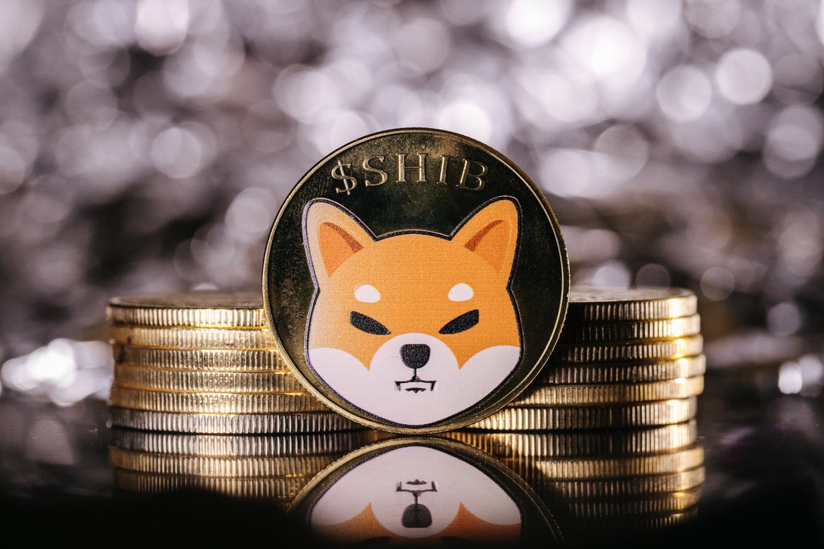 Shiba Inu Burn Intensifies Amid Dramatic Market Downturn