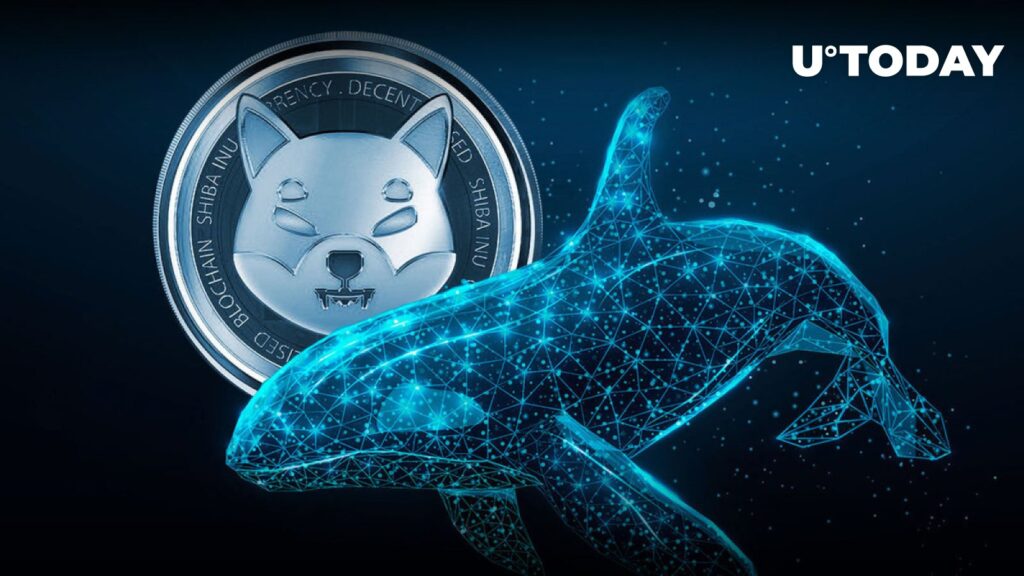 Shiba Inu (SHIB) Whales Move Massive 6.1 Trillion Tokens in 24 Hours