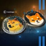 Why Dogecoin and Shiba Inu Prices Fell Today?