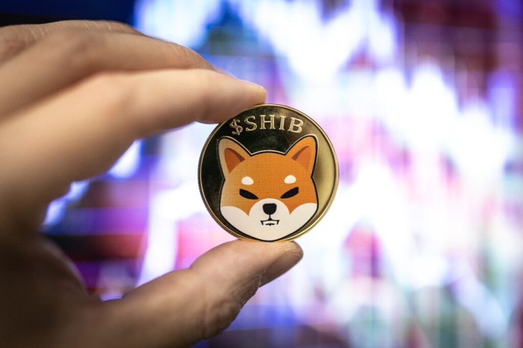 ‘Dogecoin Killer’ Shiba Inu’s Daily Transactions Surge 3,555%, Burn Rate Spikes To 1,465%