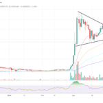 Shiba Inu Insider Reveals Top 5 Shibarium Investment Rules