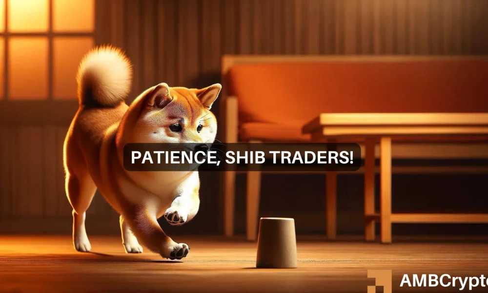 Shiba Inu price prediction – Two reasons why SHIB investors are willing to hold