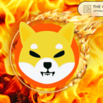 Anonymous User Burns Over 105M Shiba Inu At Once