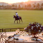 Dubai's Polo Scene Gets a Crypto Edition; Solana Superteam, Shiba Inu, Bitcoin.com and …