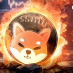 Shiba Inu Burn Rate Skyrockets by 64,201%, 657 Million SHIB Vanish