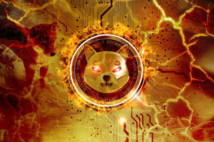 ‘Dogecoin Killer’ Shiba Inu’s Daily Transactions Spike 1,082%: ‘Still Very Bullish On SHIB,’ Says Crypto Investor