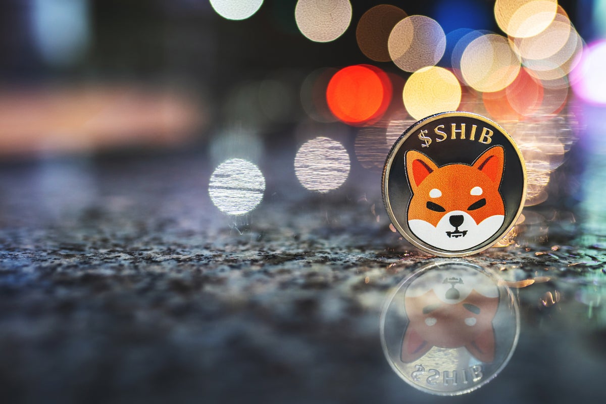 14.8 Trillion Shiba Inu Tokens Liquidated In Just 24 Hours Amid Market Downturn